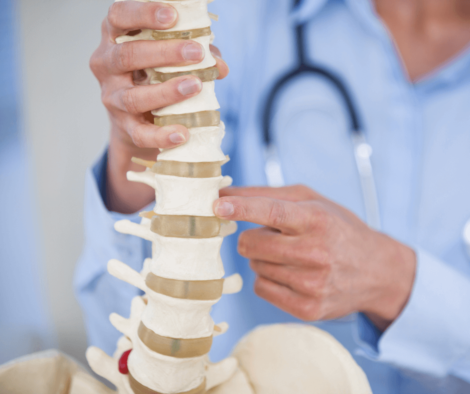 What Is the Role of a Spine Chiropractor?